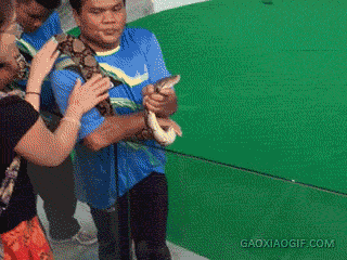 海量搞笑GIF动态图片 - Funny GIF Pictures