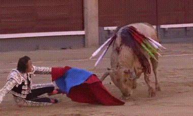 海量搞笑GIF动态图片 - Funny GIF Pictures