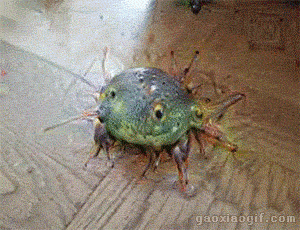 海量搞笑GIF动态图片 - Funny GIF Pictures