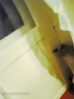 海量搞笑GIF动态图片 - Funny GIF Pictures