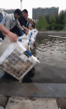 海量搞笑GIF动态图片 - Funny GIF Pictures