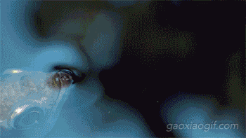 海量搞笑GIF动态图片 - Funny GIF Pictures