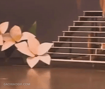 海量搞笑GIF动态图片 - Funny GIF Pictures