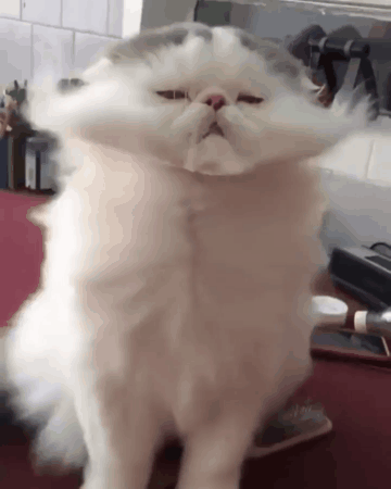 海量搞笑GIF动态图片 - Funny GIF Pictures