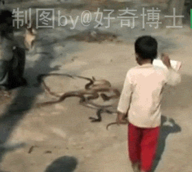 海量搞笑GIF动态图片 - Funny GIF Pictures