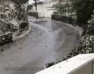 海量搞笑GIF动态图片 - Funny GIF Pictures