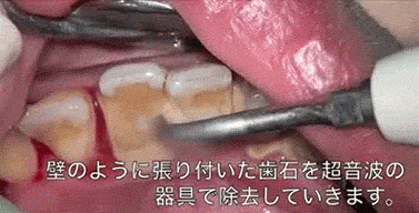 海量搞笑GIF动态图片 - Funny GIF Pictures