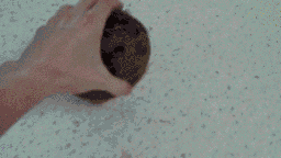 海量搞笑GIF动态图片 - Funny GIF Pictures