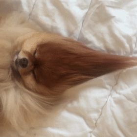 海量搞笑GIF动态图片 - Funny GIF Pictures