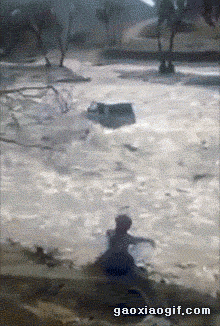 海量搞笑GIF动态图片 - Funny GIF Pictures