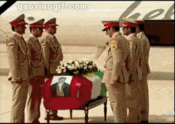 海量搞笑GIF动态图片 - Funny GIF Pictures