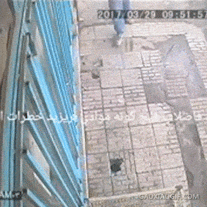 海量搞笑GIF动态图片 - Funny GIF Pictures