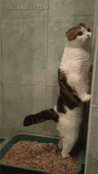 海量搞笑GIF动态图片 - Funny GIF Pictures