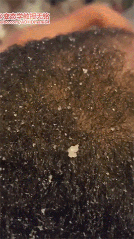 海量搞笑GIF动态图片 - Funny GIF Pictures