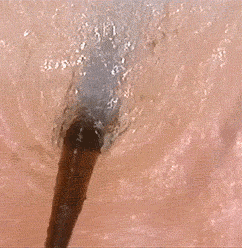 海量搞笑GIF动态图片 - Funny GIF Pictures