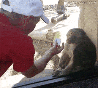 海量搞笑GIF动态图片 - Funny GIF Pictures