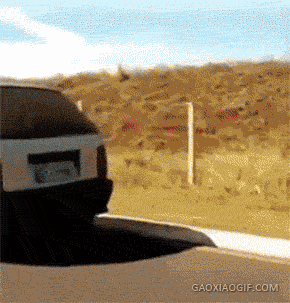 海量搞笑GIF动态图片 - Funny GIF Pictures