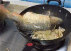 海量搞笑GIF动态图片 - Funny GIF Pictures