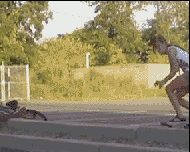 海量搞笑GIF动态图片 - Funny GIF Pictures