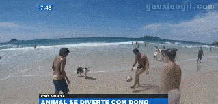 海量搞笑GIF动态图片 - Funny GIF Pictures