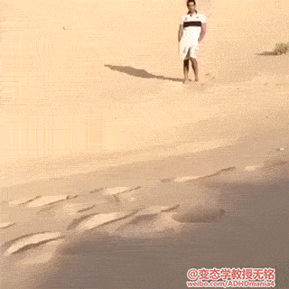 海量搞笑GIF动态图片 - Funny GIF Pictures