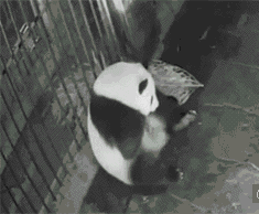 海量搞笑GIF动态图片 - Funny GIF Pictures