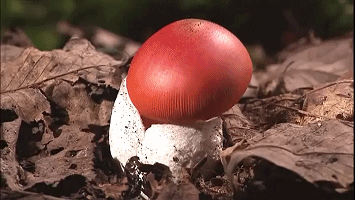 海量搞笑GIF动态图片 - Funny GIF Pictures