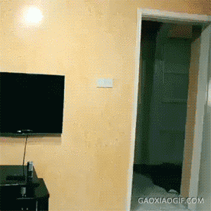 海量搞笑GIF动态图片 - Funny GIF Pictures