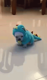 海量搞笑GIF动态图片 - Funny GIF Pictures