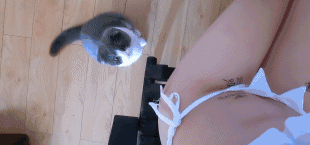 海量搞笑GIF动态图片 - Funny GIF Pictures