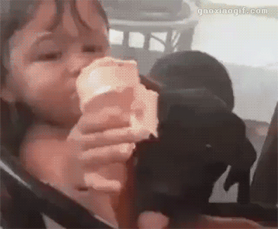 海量搞笑GIF动态图片 - Funny GIF Pictures