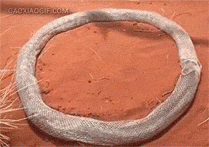 海量搞笑GIF动态图片 - Funny GIF Pictures