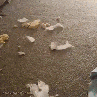 海量搞笑GIF动态图片 - Funny GIF Pictures