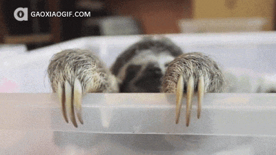 海量搞笑GIF动态图片 - Funny GIF Pictures