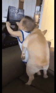 海量搞笑GIF动态图片 - Funny GIF Pictures