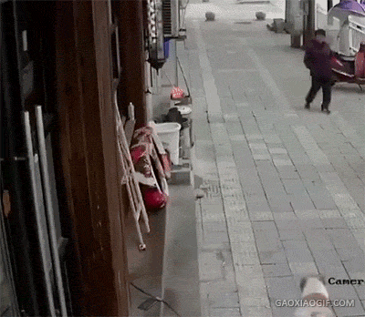 海量搞笑GIF动态图片 - Funny GIF Pictures