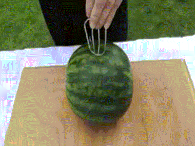 海量搞笑GIF动态图片 - Funny GIF Pictures