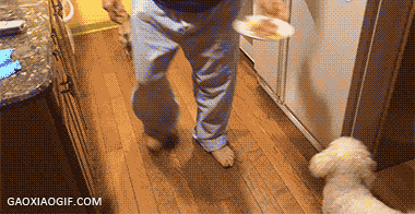 海量搞笑GIF动态图片 - Funny GIF Pictures