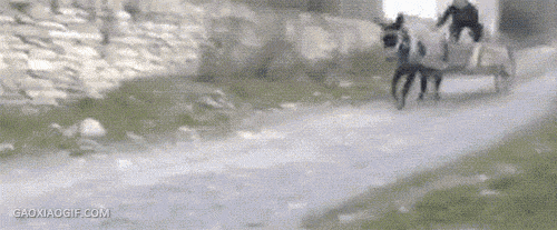 海量搞笑GIF动态图片 - Funny GIF Pictures