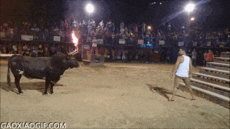 海量搞笑GIF动态图片 - Funny GIF Pictures