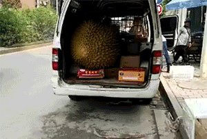 海量搞笑GIF动态图片 - Funny GIF Pictures