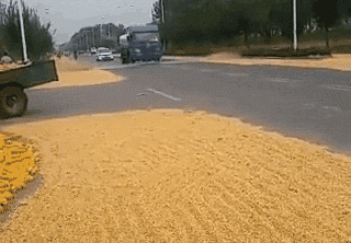 海量搞笑GIF动态图片 - Funny GIF Pictures