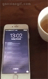 海量搞笑GIF动态图片 - Funny GIF Pictures