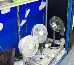 海量搞笑GIF动态图片 - Funny GIF Pictures