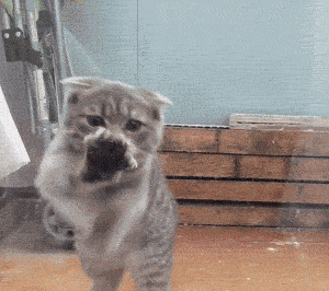 海量搞笑GIF动态图片 - Funny GIF Pictures