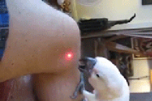 海量搞笑GIF动态图片 - Funny GIF Pictures