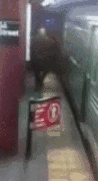 海量搞笑GIF动态图片 - Funny GIF Pictures