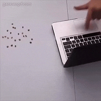 海量搞笑GIF动态图片 - Funny GIF Pictures