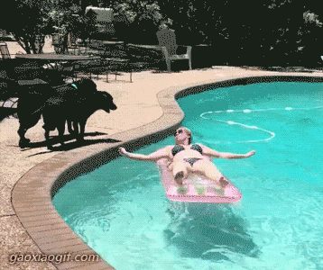 海量搞笑GIF动态图片 - Funny GIF Pictures