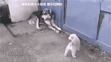 海量搞笑GIF动态图片 - Funny GIF Pictures